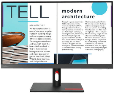 Lenovo ThinkVision S25e-30 25" Skjerm