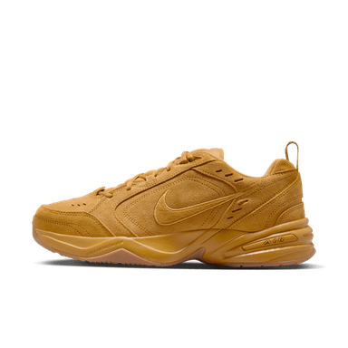 Nike Air Monarch SE treningssko