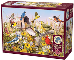 Adlibris Pussel Field Song 2000 brikker