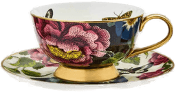 Spode Creatures of Curiosity tekopp med fat 20 cl