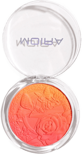 Moira Signature Ombre Blush 005