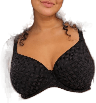 Elomi Bazaruto Plunge Bikini Top