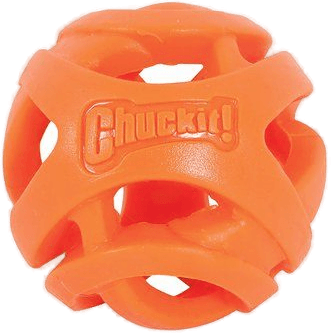 Chuckit Breathe Right Fetch Ball Large