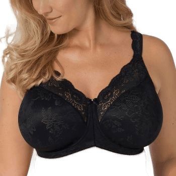 Triumph Stellina BH Svart