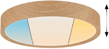 Paulmann Tega LED-taklampe IP44