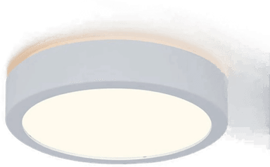 Paulmann Aviar LED-taklampe Ø 22 cm