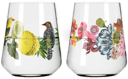 Ritzenhoff Sommertau vannglass 50 cl 2-pakning