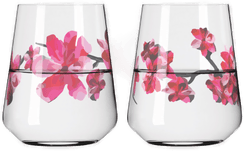 Ritzenhoff Sommersonett vattenglass 2-pakning