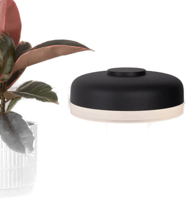 Näve LED-bordlampe Pilu svart 16,5 cm