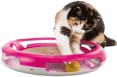 Trixie Race & Scratch Aktiveringsleke