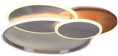 Paul Neuhaus LED-taklampe Palma, 65 cm