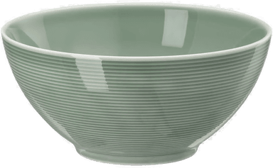 Rosenthal Loft skål moss green 0,8 liter