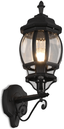 Trio Lighting Elvo utendørs vegglampe, matt svart