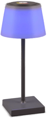 Reality Leuchten LED-bordlampe Sanchez RGBW