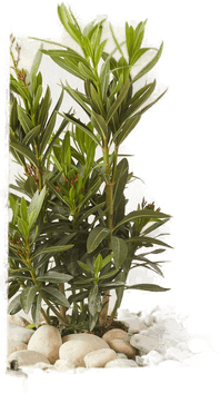 SLV 232295 GX53 11 W