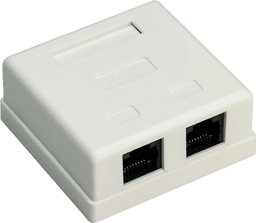 Pro 2-port RJ45-kopplingsdosa CAT 6 UTP