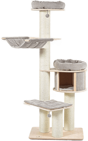 Natural Paradise Magnolia XL