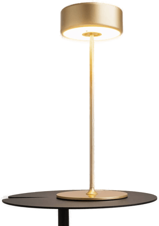 Maytoni oppladbar LED-bordlampe AI Collaboration