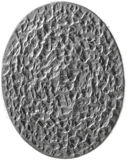 Holländer LED-vegglampe Meteor, Ø 27 cm