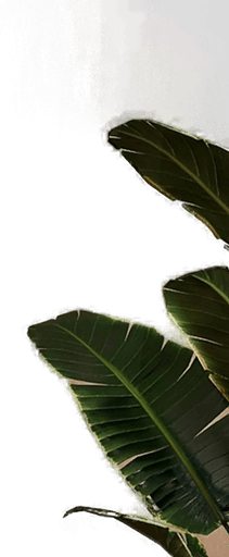 Maytoni Vegglampe DYNAMICS, gullfarget