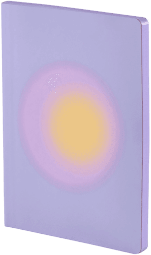 Nuuna Notebook Colour Clash Light L