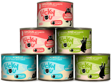 Lucky Lou Lifestage Kattunge 6 x 200 g