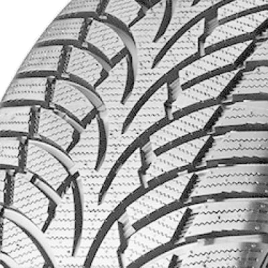 Nankang Winter Activa SV-3 275/45 R21