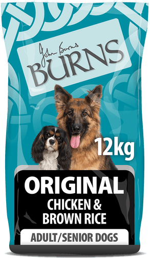 Burns Adult & Senior Original 12 kg
