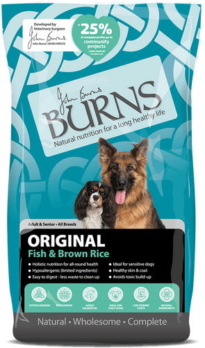 Burns Adult & Senior Original 12 kg