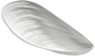 Serax Les Objets Mouleversants bolle 21,5x46 cm