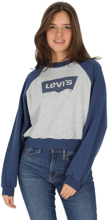 Levis Vintage Raglan