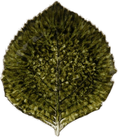 Costa Nova Riviera tallerken 22 cm mørkegrønn/svart