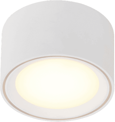 Nordlux Fallon LED-taklampe