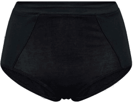 JBS of Denmark Maxi Brief Svart Large