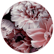 Malerifabrikken Bilde Opulent 8 Rosa