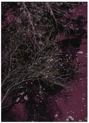 Malerifabrikken River of Wine Poster