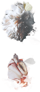 Malerifabrikken Poster Haute Couture 11 Grønn