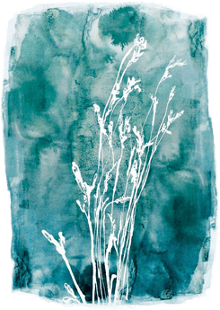 Malerifabrikken Poster Grass 3 Blå