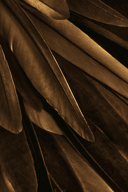 Malerifabrikken Gold Wing Poster