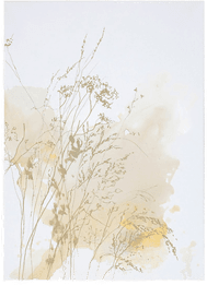 Malerifabrikken Poster Harvest 1 Hvit