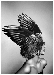 Malerifabrikken Poster Diana Svart