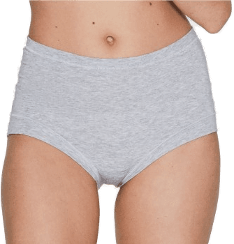 JBS of Denmark Truser Bamboo Maxi Brief Lysgrå X-Small