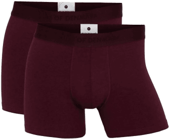 JBS of Denmark 2P Tights Boxers Vinrød
