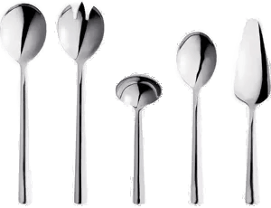 Aida Raw serveringsbestikk 5 deler