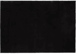 Tica Copenhagen Unicolor entréteppe Black