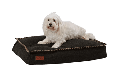 Sackit Hundeseng Medium Cobana Svart