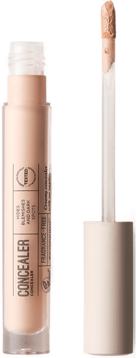 Ecooking Concealer 04