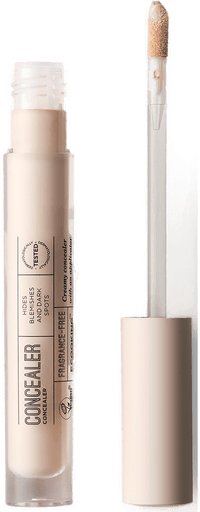 Ecooking Concealer 00
