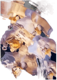 Paper Collective Flora Aquatica 01 70x100 cm