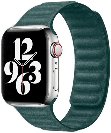 Lippa Finewoven Apple Watch reim Grønn